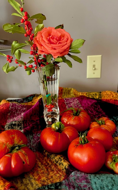 tomatoes